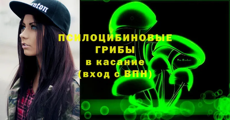 где купить   Ижевск  Галлюциногенные грибы Psilocybe 